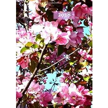 Nacario Dicker Tagebuch Kalender 2018 - Kirschblüte: 365 Tage = 365 A4-Seiten