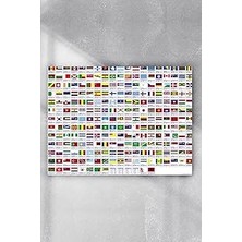 Nacario Postermanya (PSTER9159) Ülke Bayrakları Eğitim Posteri (40X60CM)