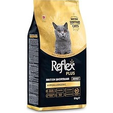 Nacario British Shorthair Yetişkin 8kg