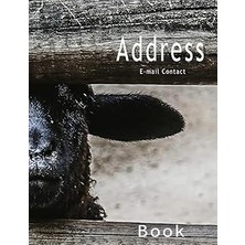 Nacario Address Book: E-Mail Contact Book Large Print Phone Books Organizer Notebook Big Number Journal Con