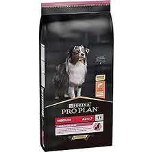 Nacario Plan Sensitive Adult Somonlu Yetişkin 10KG