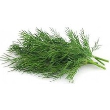 Nacario Dereotu Kokulu (Çoklu Tohum) - 5 Gram