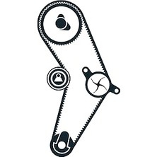 Nacario Skf Triger Seti Devirdaim Volkswagen Golf Iv 1.6 97-05, Vkmc 01113-1