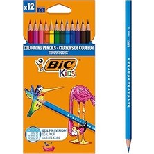 Nacario Bic Kids Tropicolors Kuru Boya Kalemi 12 Renk, Kıymık Oluşturmaz, Ağaç Kesilmeden Üretilmiştir, Çiğ