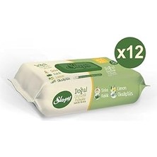 Nacario Sleepy Doğal Organik Pamuklu Temizlik Havlusu 12X50 Yaprak