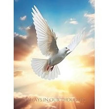 Nacario Always In Our Thoughts: Funeral Guest Book - Flying In The Sky Picture Cover