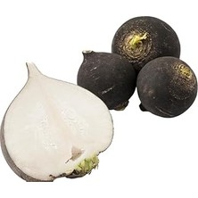 Nacario Turp Si̇yah (Çoklu Tohum) - 5 Gram