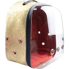 Nacario Snake Şeffaf Astronot Taşıma Çantası 42X22X33 cm Sarı