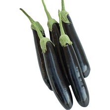 Nacario Patlican Aydin Si̇yah (Çoklu Tohum) - 5 Gram