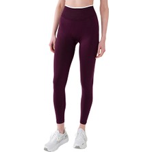Musclecloth Nova Seamless Sport Tayt Bordo