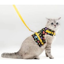 Aesco S Beden Sarı Patili Kedi ve Küçük Irk Köpek Gezdirme Tasması