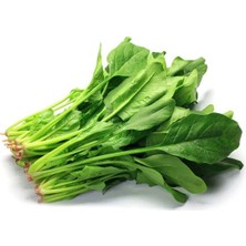Herşey Trend Ispanak Tohumu 25 gr