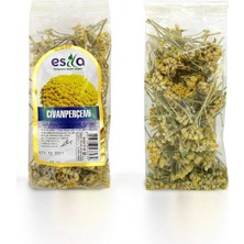 Herşey Trend Poşet Civanperçemi 30 Gr.