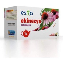 Herşey Trend Poşet Ekinezya Çiçek 40 Gr.