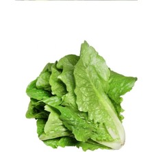 Herşey Trend Yedikule Marul Tohumu 10 gr