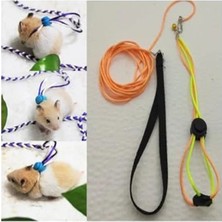 Aesco Patentli Hamster Gezdirme Tasması - Dolaştırma Için