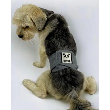 Aesco Köpek Çiş Bel Bandı Yıkanabilir Sızdırmaz Köpek Kıyafeti