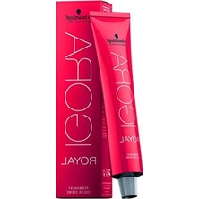 Aesco 60 ml Saç Boyası, Kalıcı ve Çekici Renk Seçenekleri