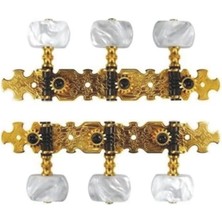 Aesco Klasik Gitar Kulağı, Gold Renkli 3+3 Tasarım