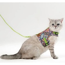 Aesco Etnik Yeşil Renkli Kedi ve Küçük Köpek Gezdirme Tasması