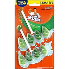 Aesco Çam Kokulu Klozet Bloğu, 2'li Paket, Ferahlatıcı Etki