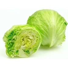 Aesco Marul Iceberg Çoklu Tohum, 3 Gram