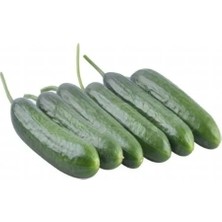 Aesco Beith Alpha Salatalık Tohumu - 5 Gram