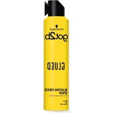 Aesco 300 ml Saç Spreyi, Maksimum Tutucu Etki