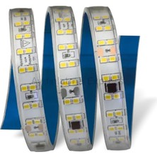 Cata CT-4596 220V 240 LED Günışığı Şerit LED 100 Metre Yapışkanlı