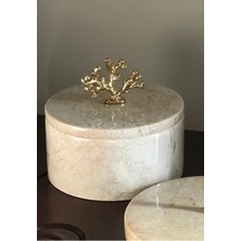 Miarik Design Dekoratif Mercan Detayli Gold Pirinç Kulplu Bej Rengi Küçük Boy Kutu