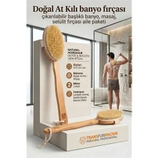 Trend Kapında Uzun Saplı Doğal At Kılı Selülit Karşıtı Vücut Fırçası Peeling Masaj Aleti Selülit Fırçası 723198