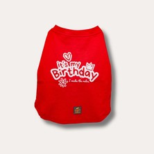 Asky&Erd It’s My Birthday T-Shirt | Cherry Red