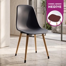 Vilinze Eames Ahşap Ayak Plastik Sandalye