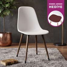 Vilinze Eames Ahşap Ayak Plastik Sandalye
