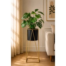 Bitki Dünyam Siyah - Gold Metal Ayaklı Saksı, Silindirik, Modern Tasarım, 65X30 cm No:15