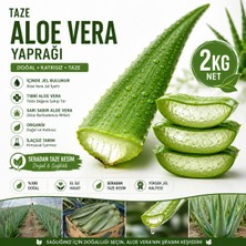 Taze Aloe Vera Yaprağı 2 kg - Aloe Vera Jel Içerir (Sarı Sabır)