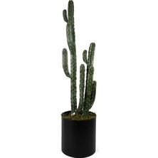 Laromita Decoration Kaktüs 143 cm