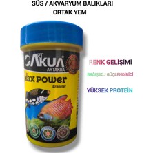 Salıncak Balık Yemi 100ML Tüm Süs / Akvaryum Balıkları Ortak Yem SKT.2028 (1.7mm Granulat)