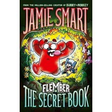 DFB Phoenix Flember 1: The Secret Book