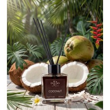 Docks Coconut Oda Kokusu/çubuklu Difüzör
