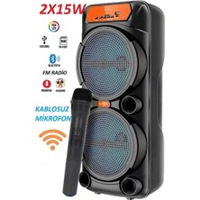 Tastech 30W Kablosuz Mikrofonlu Karaoke Hoparlör Şarjlı Taşınabilir Bluetooth Speaker