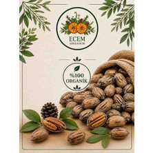 Pikan Cevizi 2 kg Kabuklu