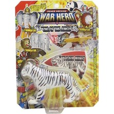 Canarino Transformers Set Kaplan