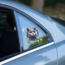 Solmazlar Online Mey Ithalat® Fulcar British Araç Stickerı