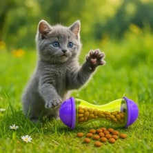 Solmazlar Online Mey Ithalat® Interaktif Kedi Ödül Mamalı Oyuncak