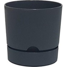 Empressco Şık Antrasit Renkli 9cm Begonya Saksı, Kaliteli ve Modern Tasarım