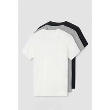 Nacar Store 3'lü Paket Premium Yazlık Düz Renk Basıc T-Shirt