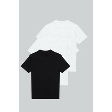 Nacar Store 3'lü Paket Premium Yazlık Düz Renk Basıc T-Shirt