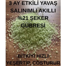 Sağlam Tarım Şeker Gübresi (Amonyum Sülfat) Yavaş Salınımlı Akıllı Çim Gübresi