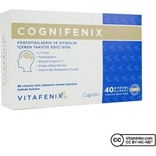 Vitafenix Cognifenix Sitikolin 40 Kapsül